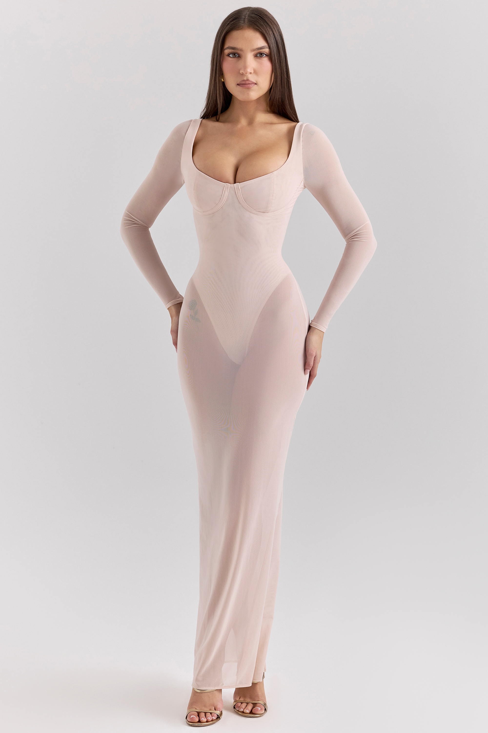 Everly  Blush Mesh Maxi Dress with Bodysuit — image 3