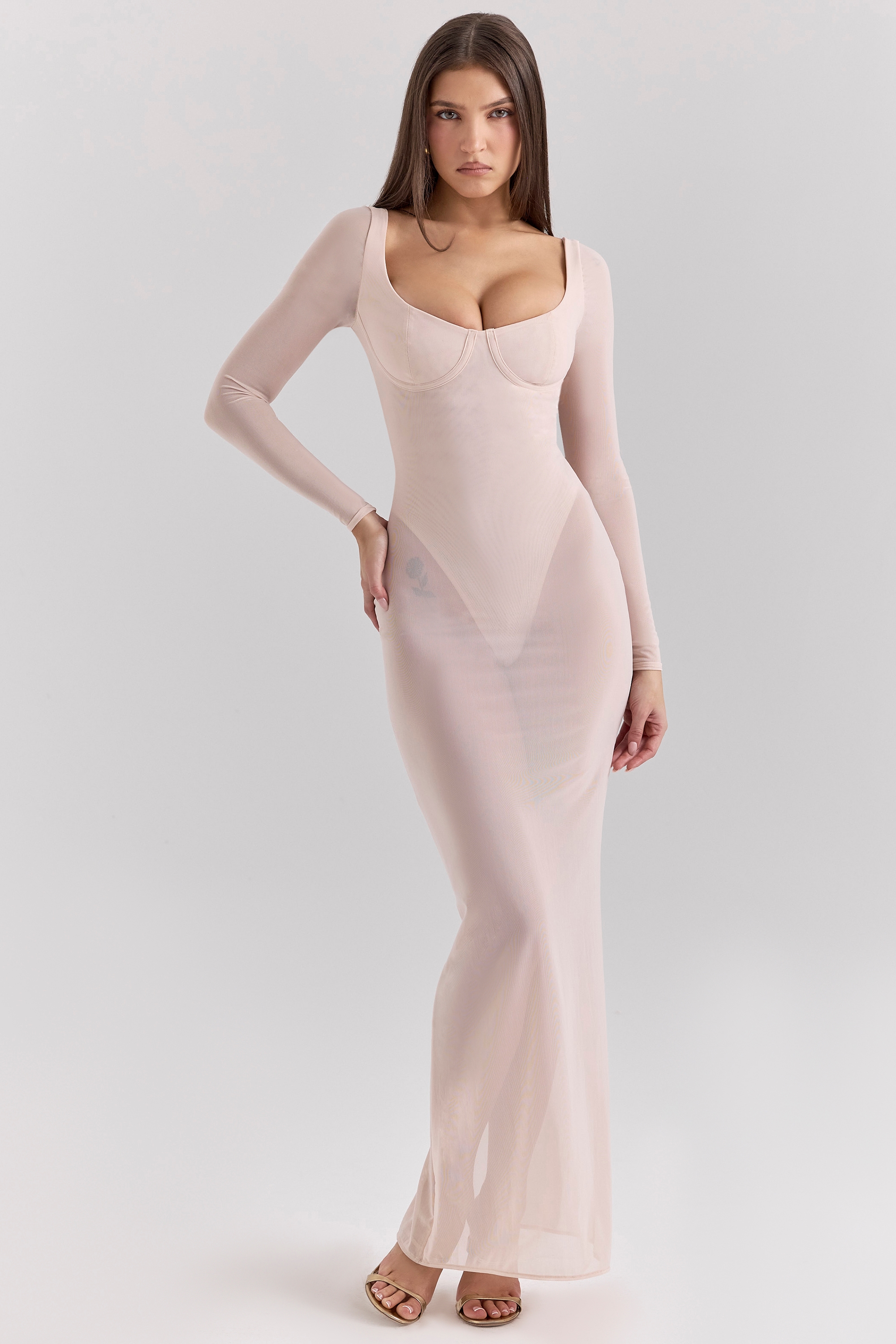 Everly  Blush Mesh Maxi Dress with Bodysuit — image 1
