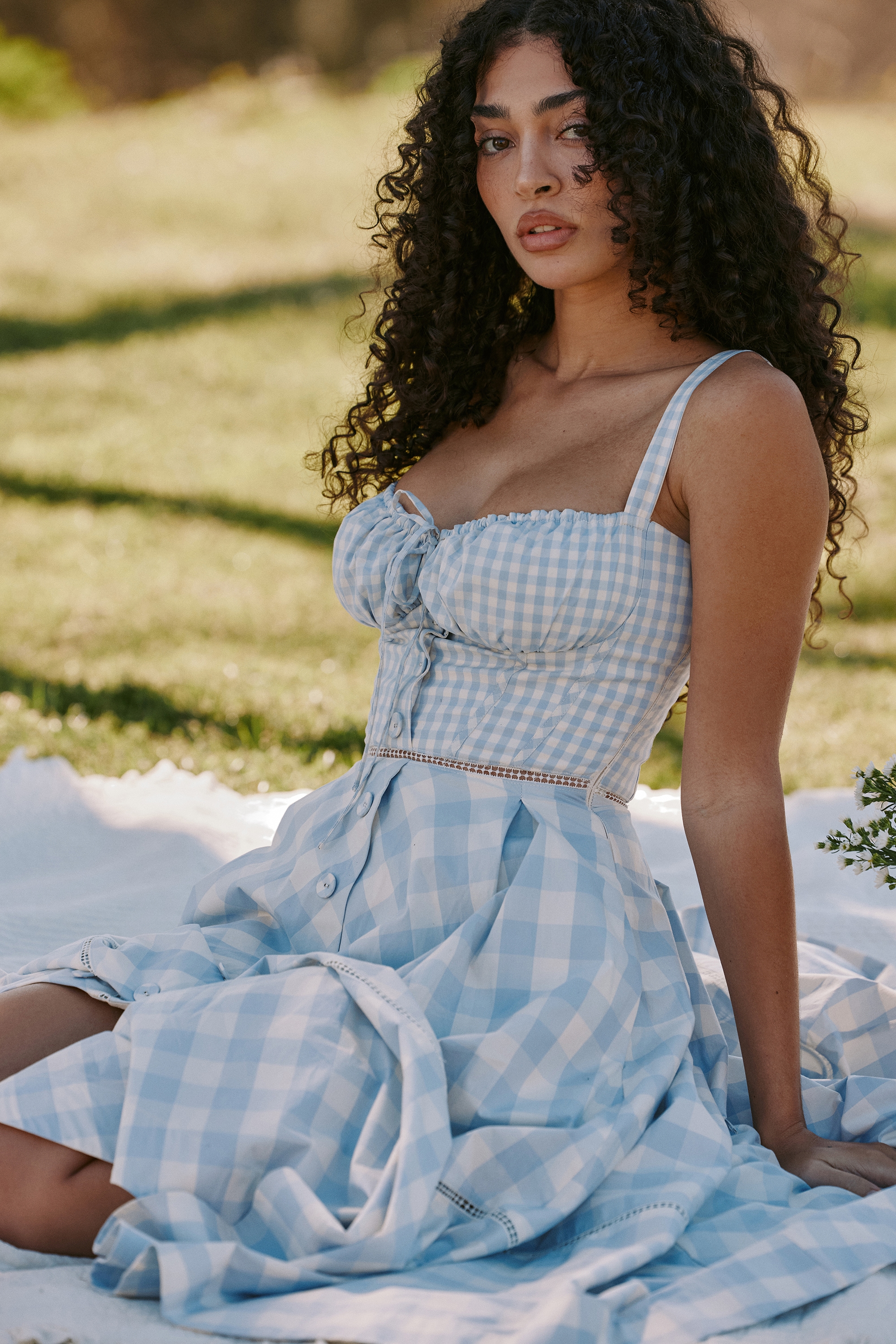 Chiarina  Light Blue Gingham Stretch Cotton Midi Dress — image 2