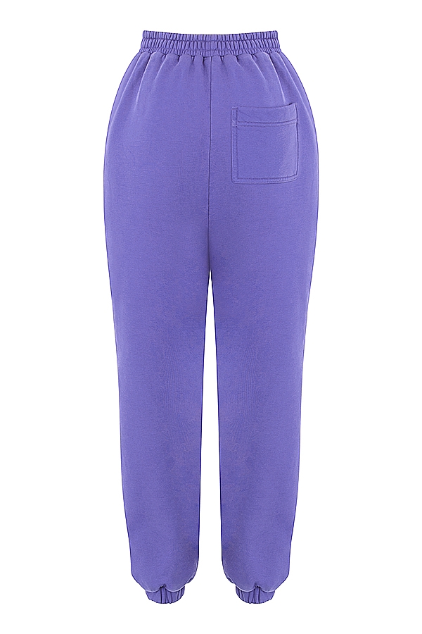 Sky  Purple Fleece Back Jogging Trousers — image 9