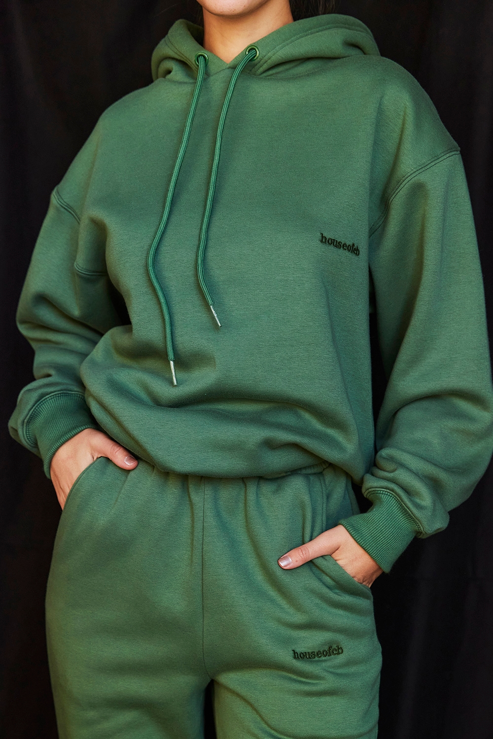 Halo  Moss Cotton Fleece-Back Oversized Hoodie — image 6