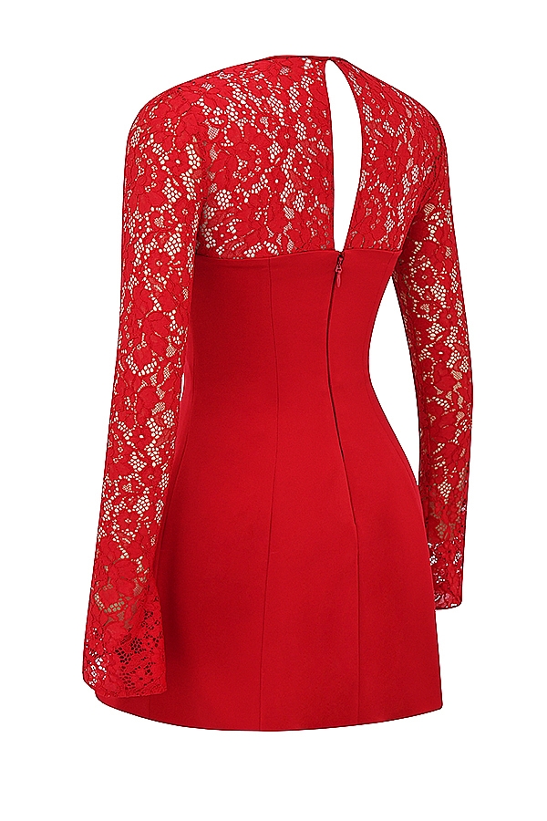 Jennica  Red Rose Satin And Lace Mini Dress — image 18