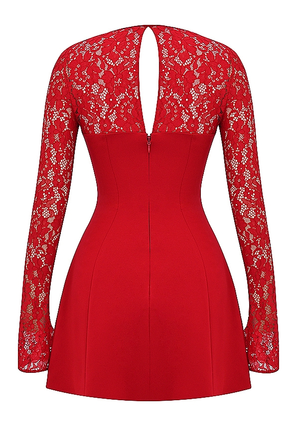 Jennica  Red Rose Satin And Lace Mini Dress — image 19