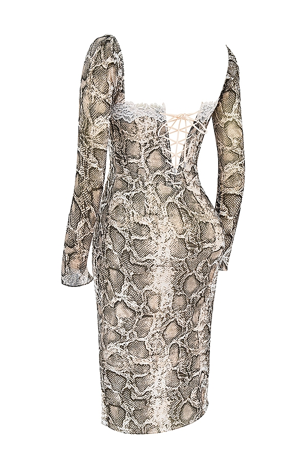 Seraphina  Snake Print Corset Dress — image 14