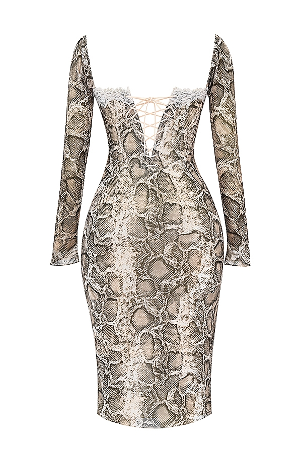 Seraphina  Snake Print Corset Dress — image 15